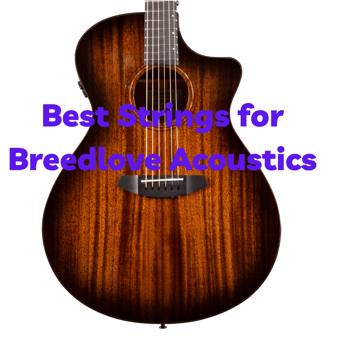 Best Strings for Breedlove Acoustic Guitars