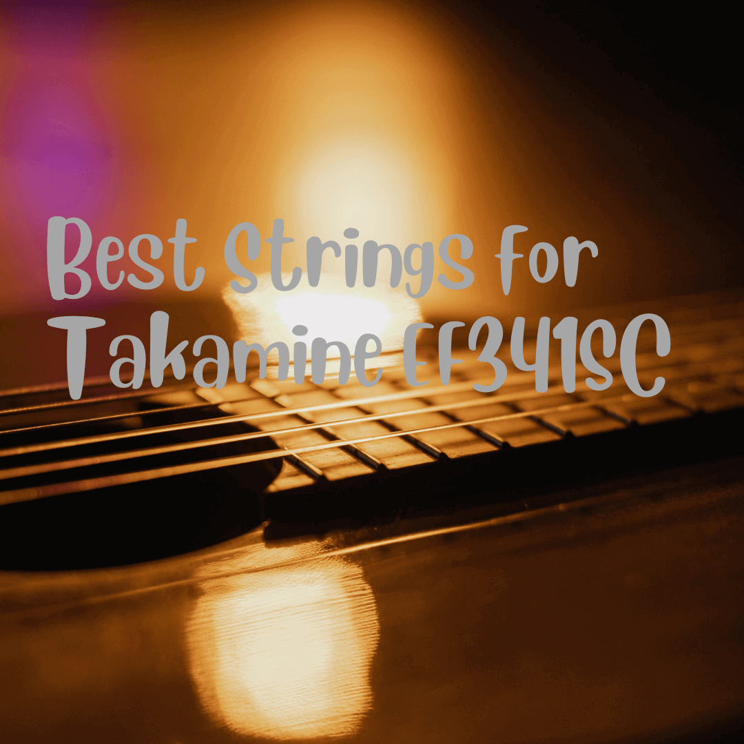 Best strings for takamine ef341sc