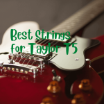 Best Strings for Taylor T5