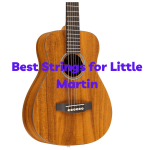 Best Strings for Little Martin