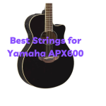 Best Strings for Yamaha APX600