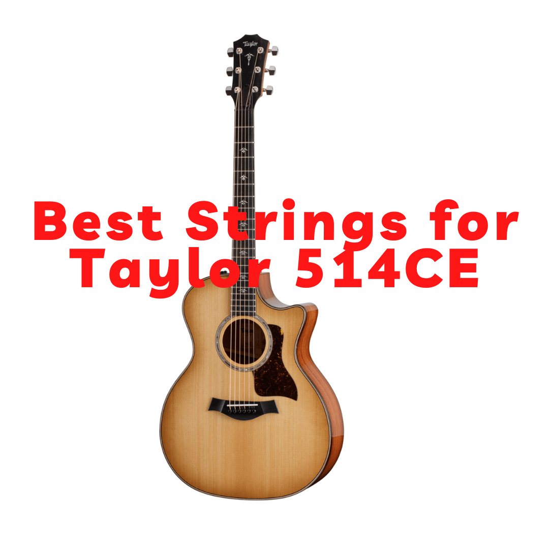 Best Strings for Taylor 514CE