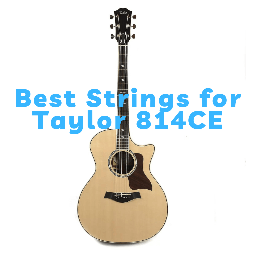 Best Strings for Taylor 814CE