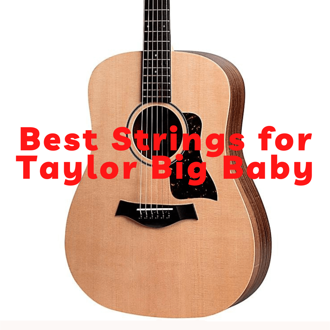best strings for taylor big baby