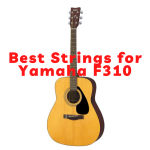 Best strings for Yamaha F310