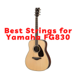 Best Strings for Yamaha FG830