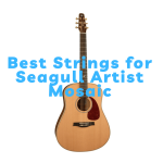 Best strings for seagull artist mosaic