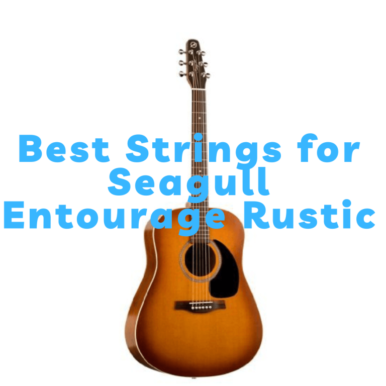 Best strings for seagull entourage rustic
