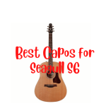 best capos for seagull S6