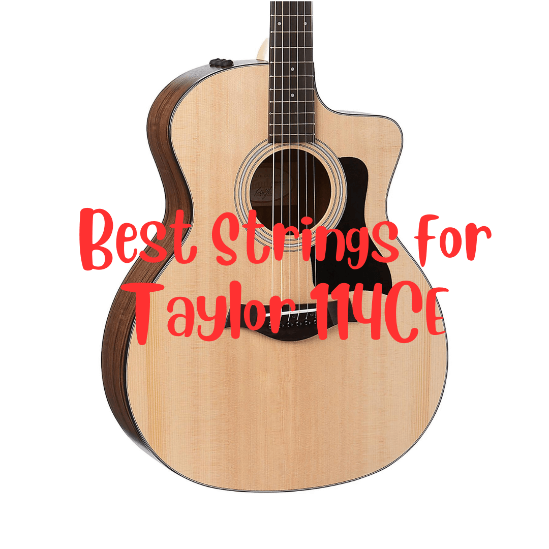 best strings for taylor 114ce