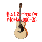 best strings for Martin 000-28