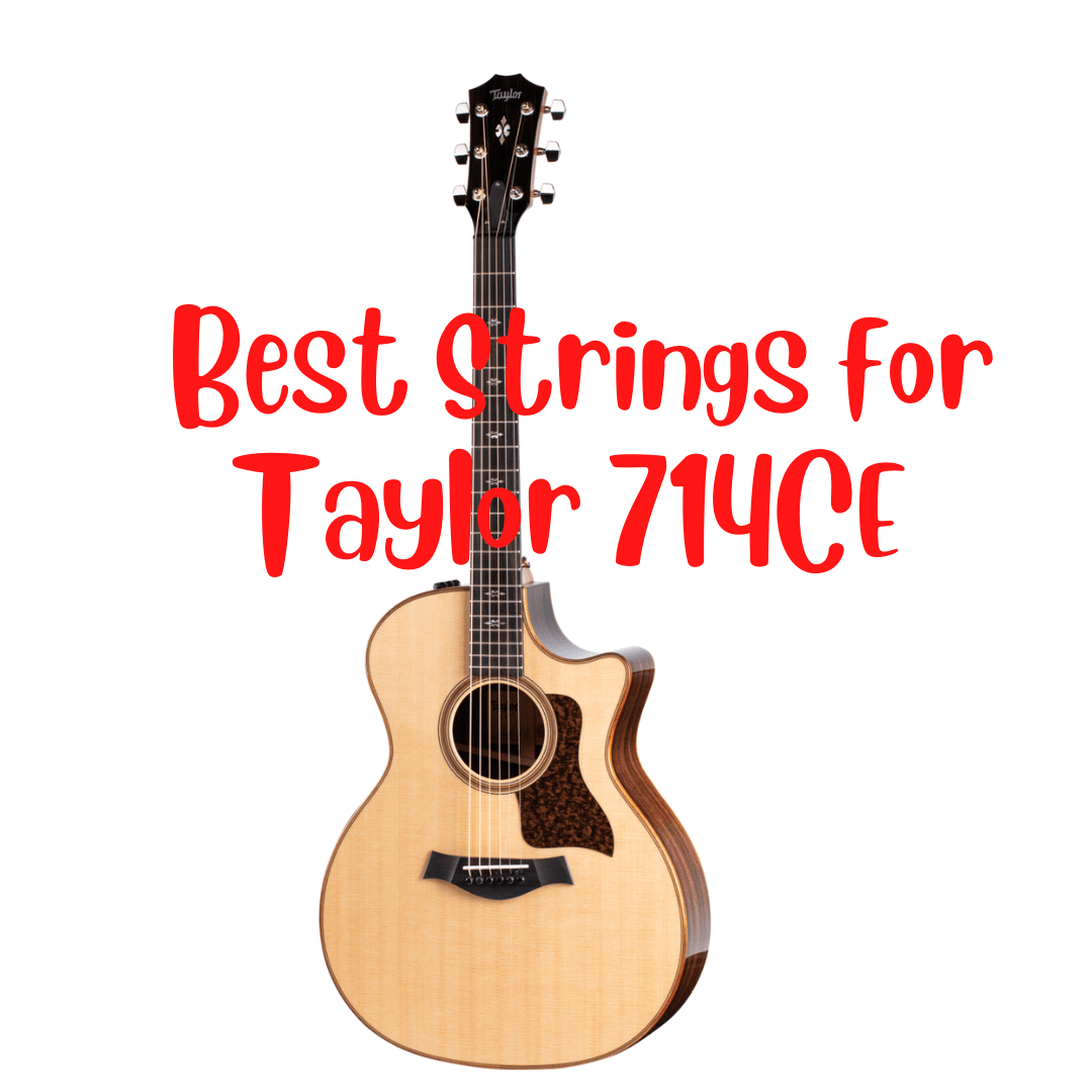 best strings for Taylor 714CE