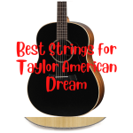 Best Strings for Taylor American Dream AD